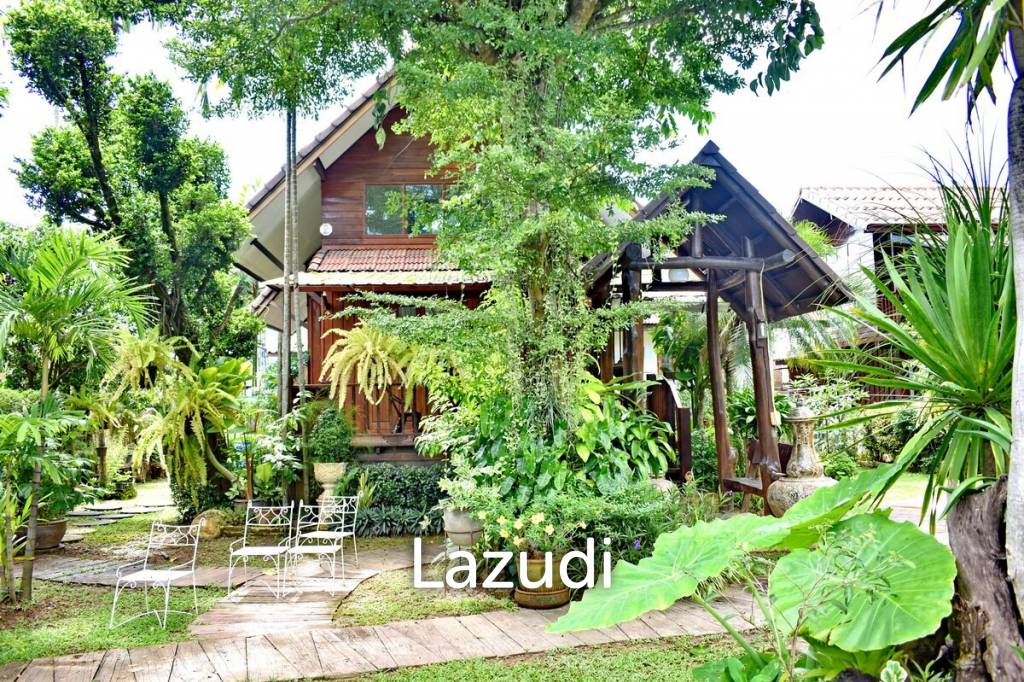CB35 Guest House/Restaurant for sale/rent on 1 Rai of Land, Ropwiang, Chiangrai.