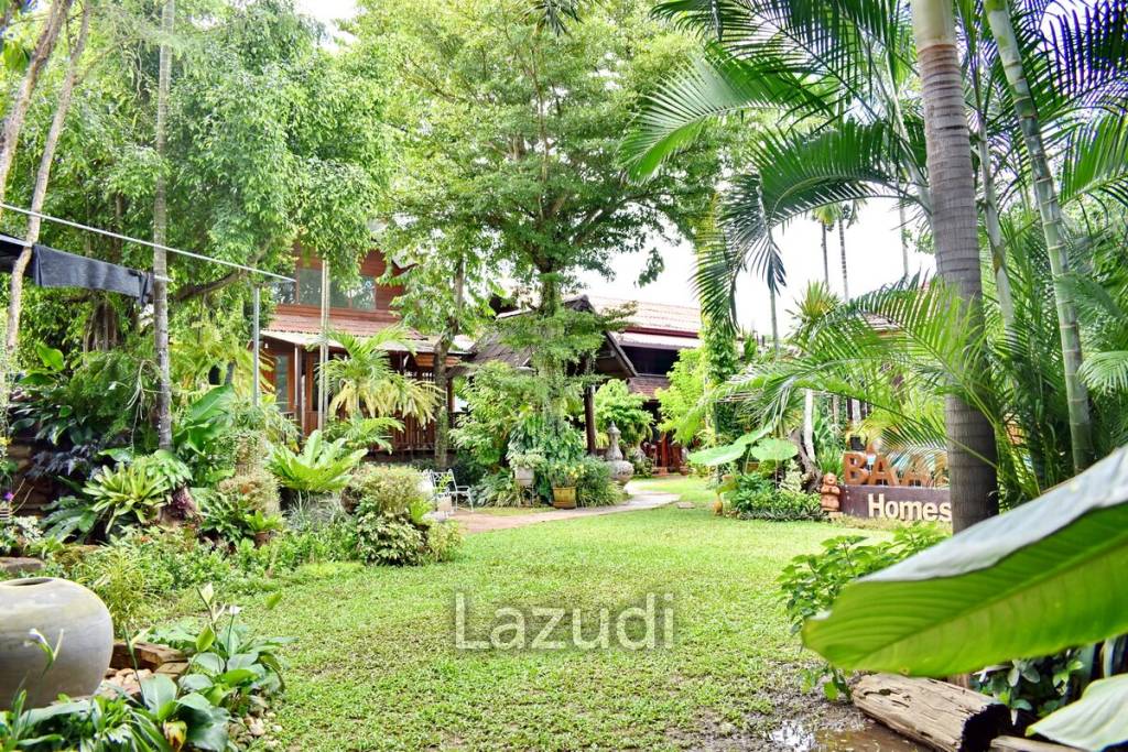 CB35 Guest House/Restaurant for sale/rent on 1 Rai of Land, Ropwiang, Chiangrai.