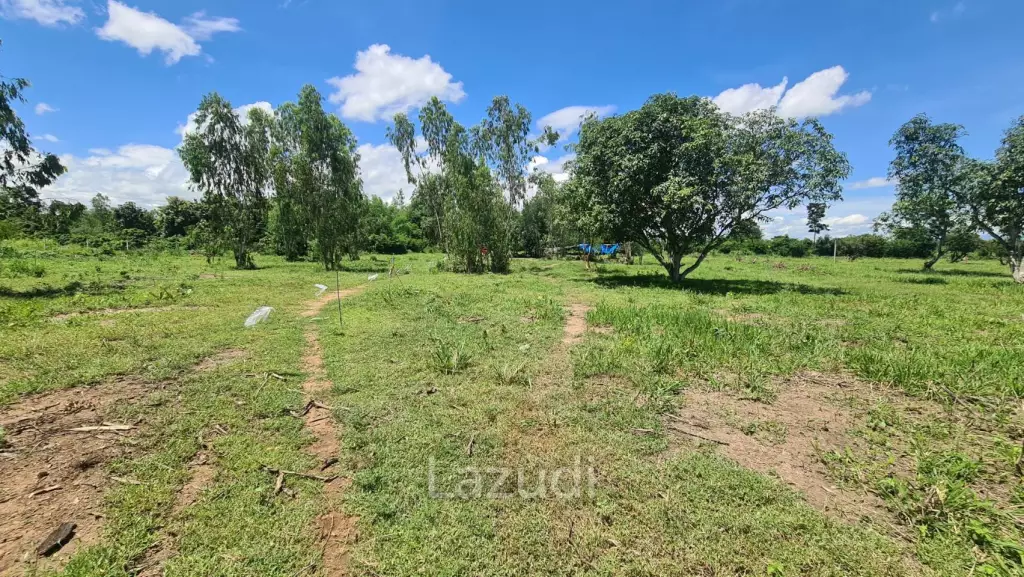 Farm Land For Sell in Doi Lo, Chiang Mai