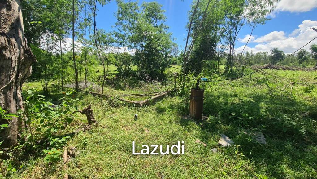 Farm Land For Sell in Doi Lo, Chiang Mai