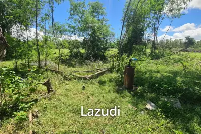 Farm Land For Sell in Doi Lo, Chiang Mai