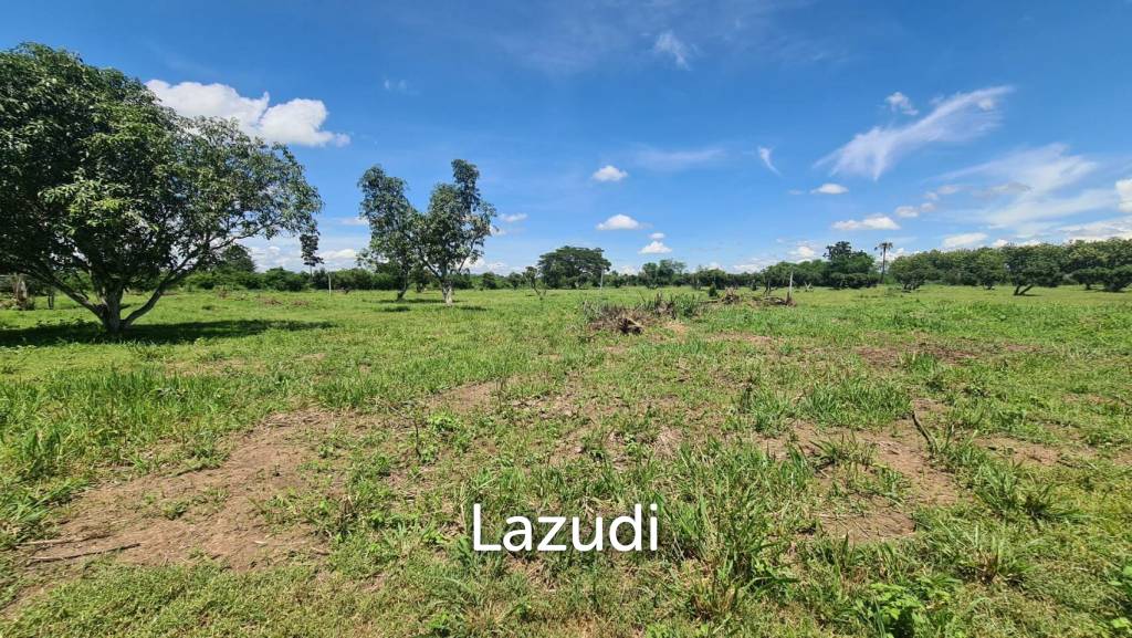 Farm Land For Sell in Doi Lo, Chiang Mai