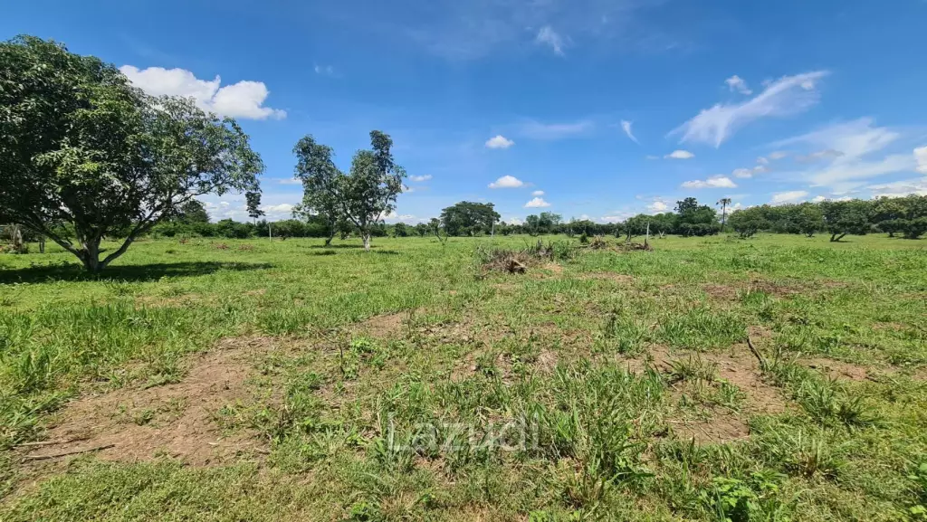 Farm Land For Sell in Doi Lo, Chiang Mai