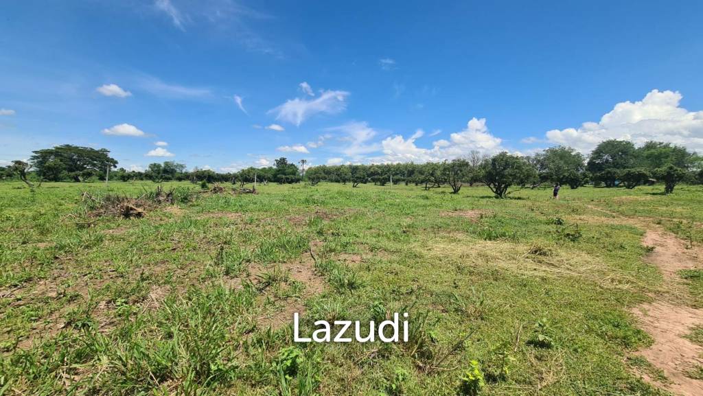 Farm Land For Sell in Doi Lo, Chiang Mai