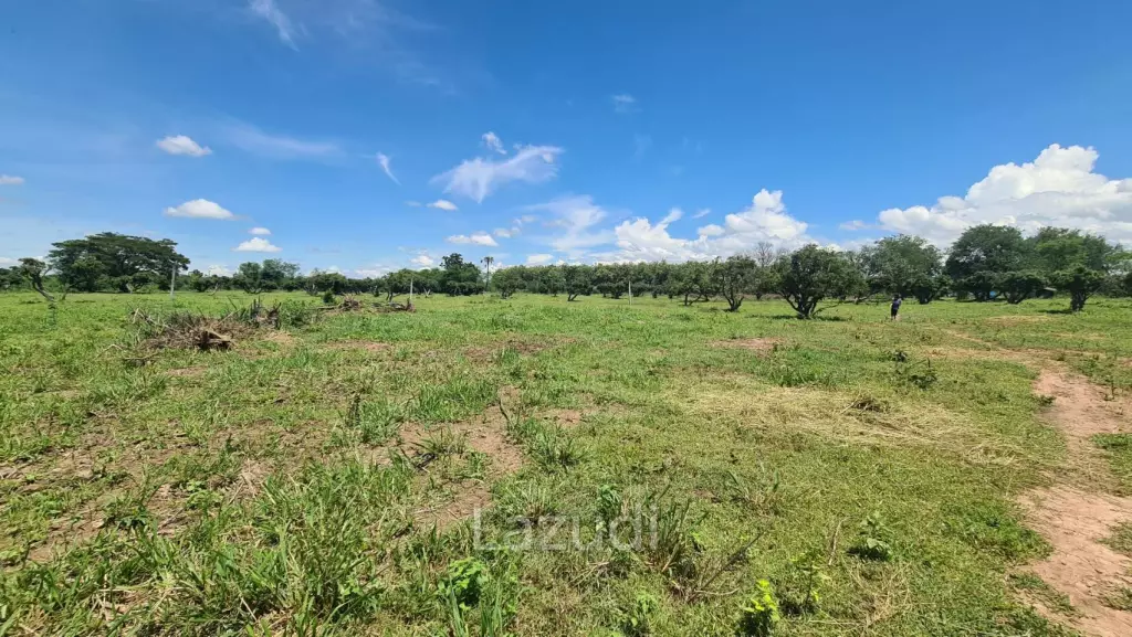 Farm Land For Sell in Doi Lo, Chiang Mai