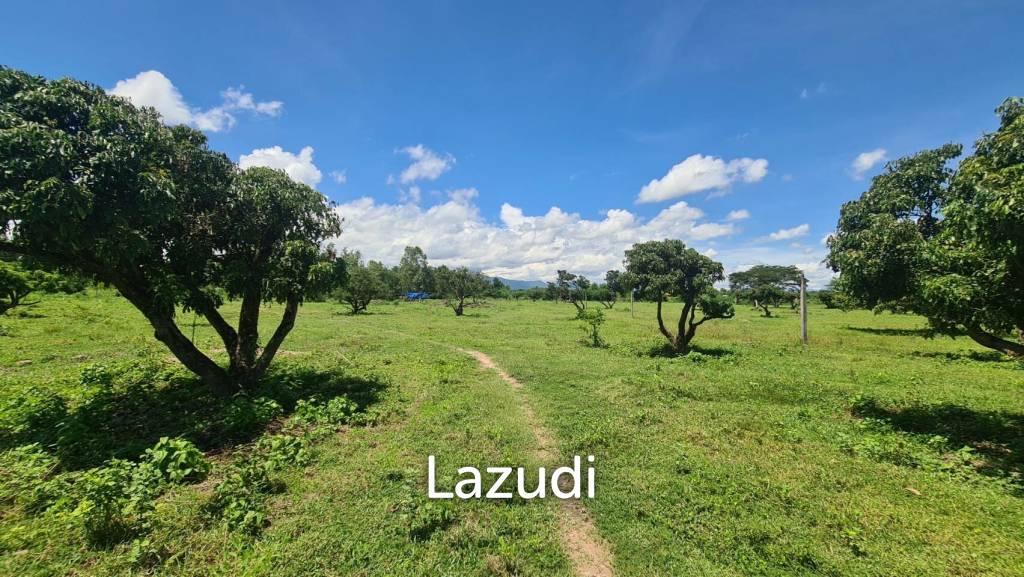 Farm Land For Sell in Doi Lo, Chiang Mai