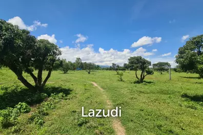 Farm Land For Sell in Doi Lo, Chiang Mai