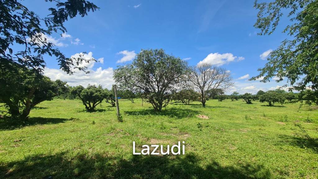 Farm Land For Sell in Doi Lo, Chiang Mai