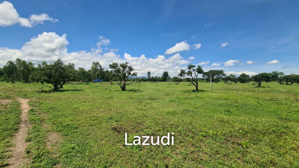 Farm Land For Sell in Doi Lo, Chiang Mai