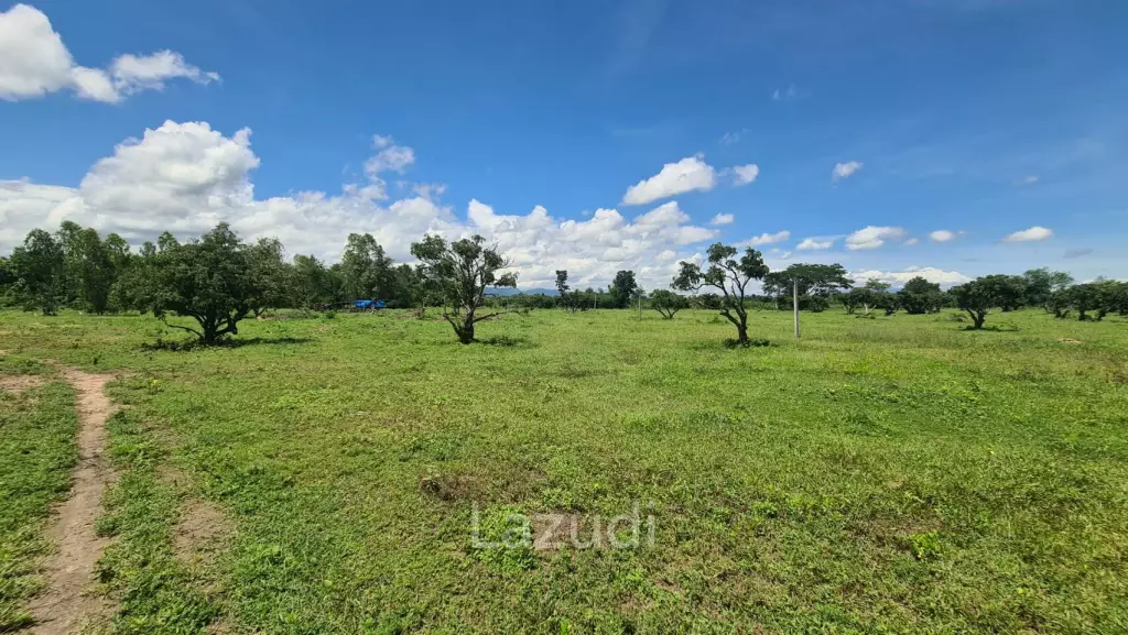 Farm Land For Sell in Doi Lo, Chiang Mai