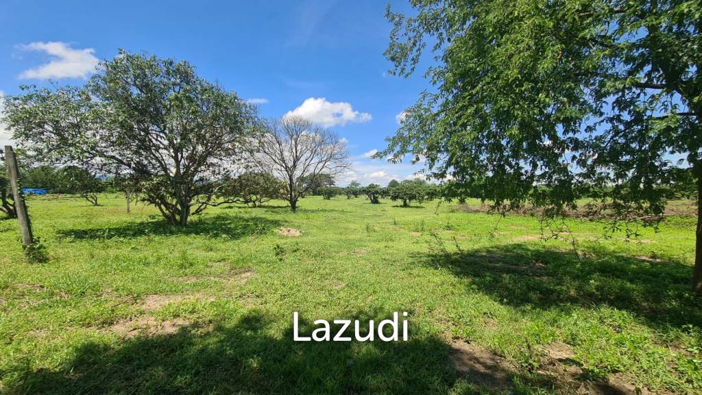 Farm Land For Sell in Doi Lo, Chiang Mai