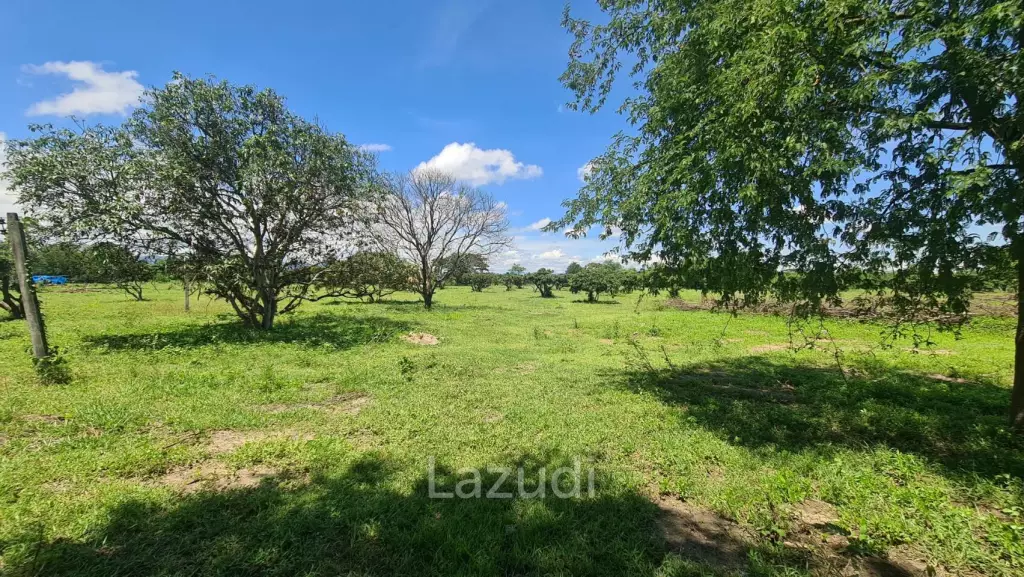 Farm Land For Sell in Doi Lo, Chiang Mai