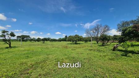 Farm Land For Sell in Doi Lo, Chiang Mai