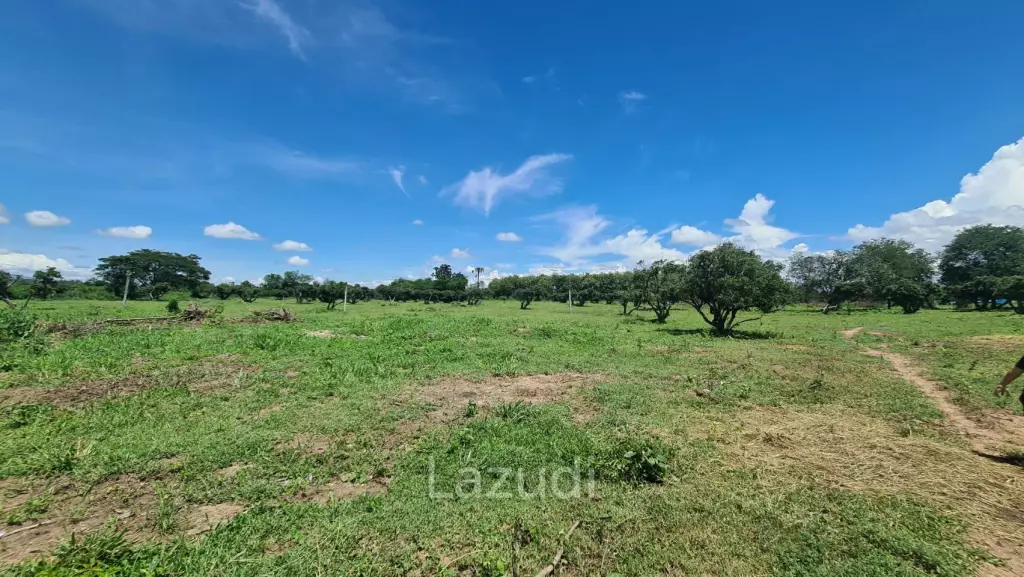 Farm Land For Sell in Doi Lo, Chiang Mai