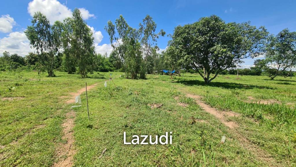 Farm Land For Sell in Doi Lo, Chiang Mai