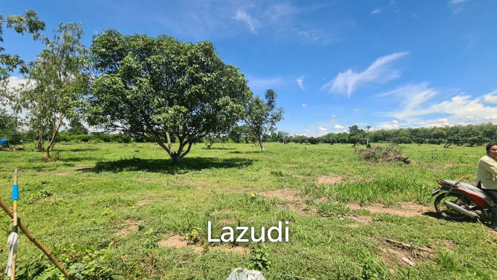 Farm Land For Sell in Doi Lo, Chiang Mai