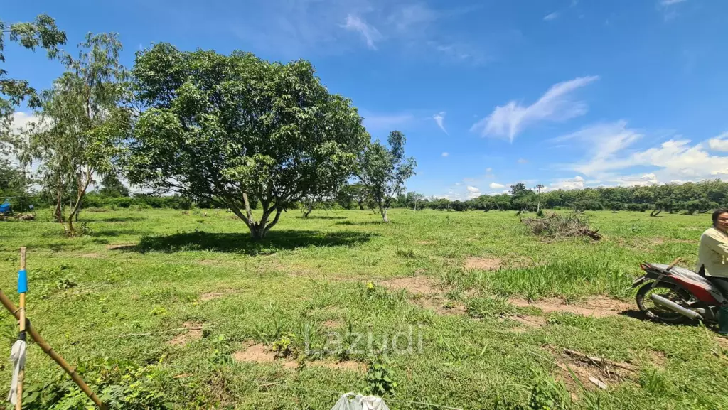 Farm Land For Sell in Doi Lo, Chiang Mai