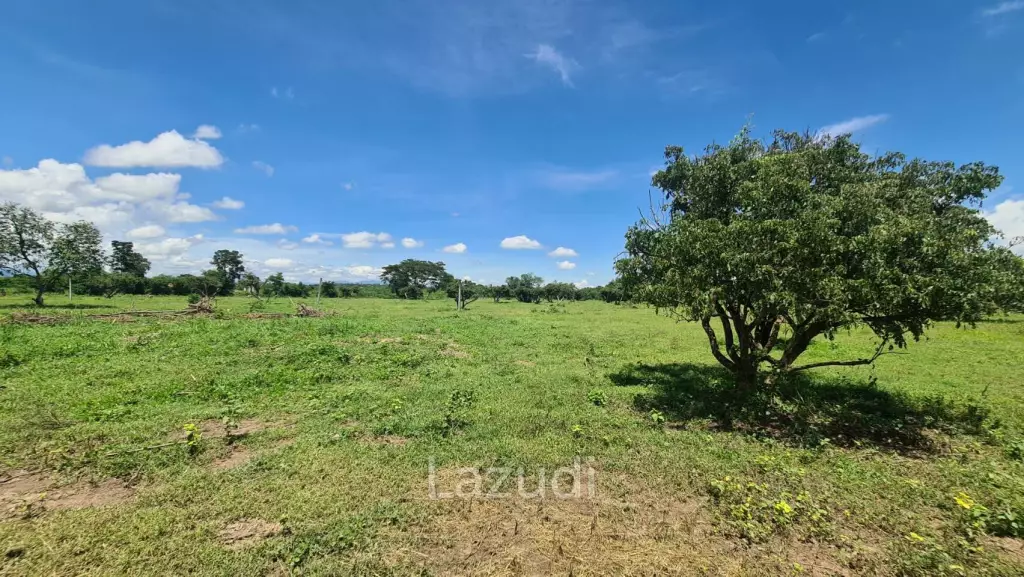 Farm Land For Sell in Doi Lo, Chiang Mai