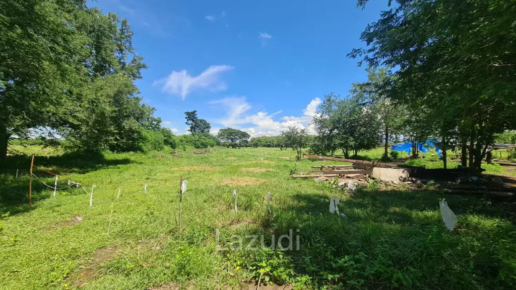 Farm Land For Sell in Doi Lo, Chiang Mai