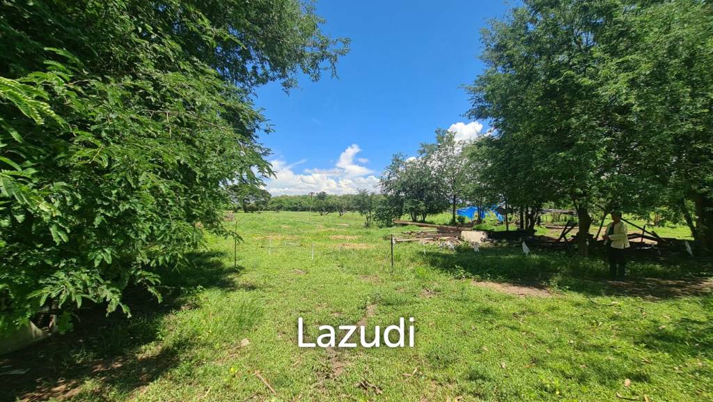 Farm Land For Sell in Doi Lo, Chiang Mai