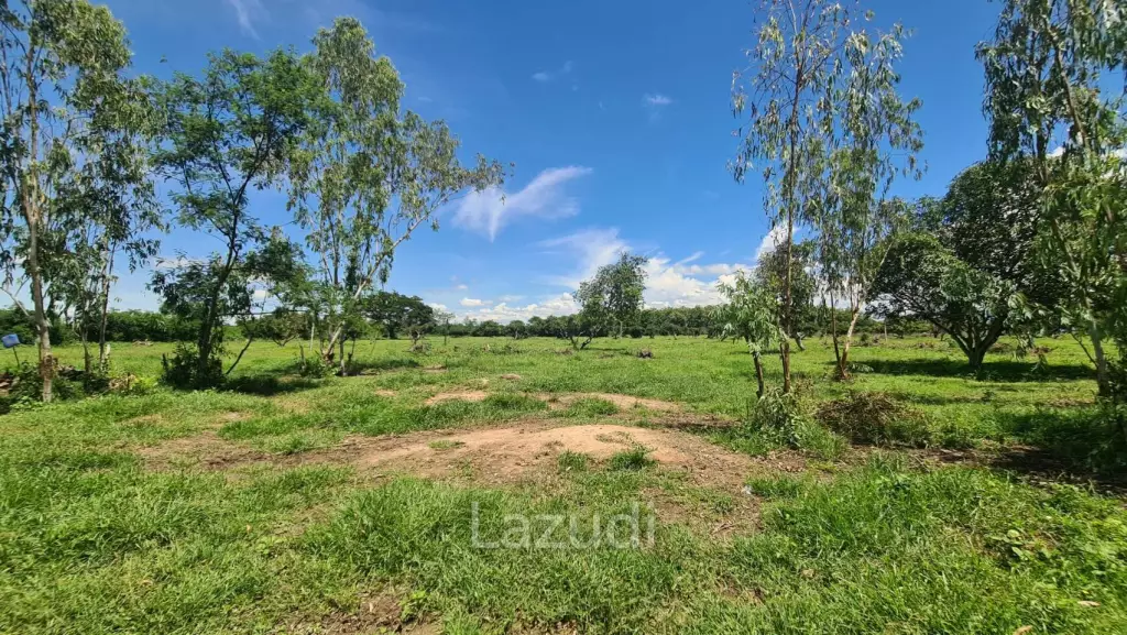 Farm Land For Sell in Doi Lo, Chiang Mai