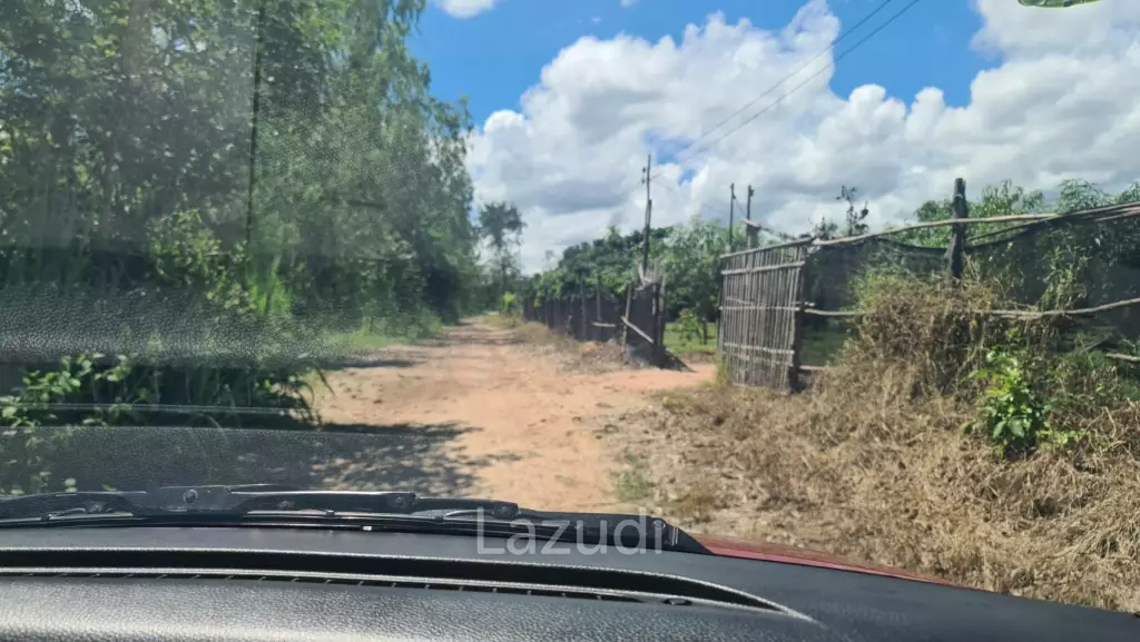 Farm Land For Sell in Doi Lo, Chiang Mai