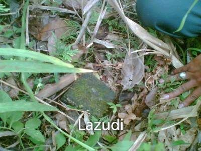 Pakuseba LAZ46660 (Land, Sertifikat Hak Milik)