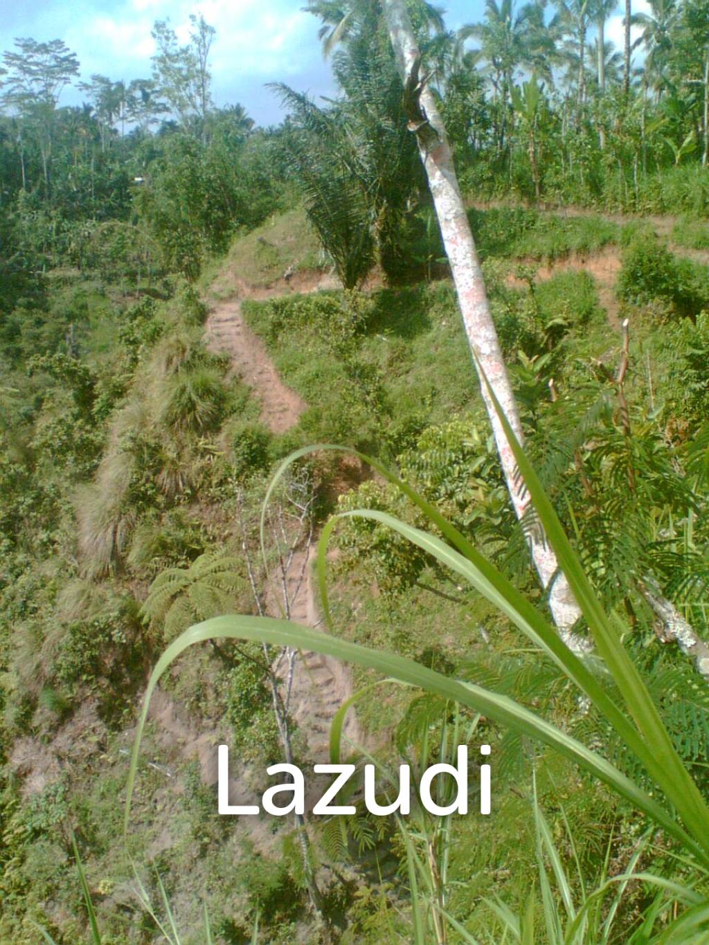 Pakuseba LAZ46660 (Land, Sertifikat Hak Milik)