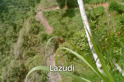 Pakuseba LAZ46660 (Land, Sertifikat Hak Milik)
