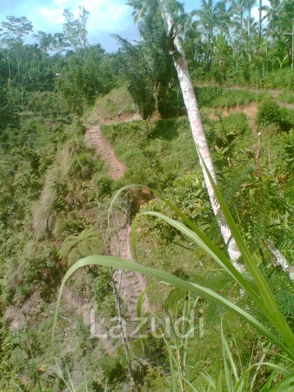 Pakuseba LAZ46660 (Land, Sertifikat Hak Milik)