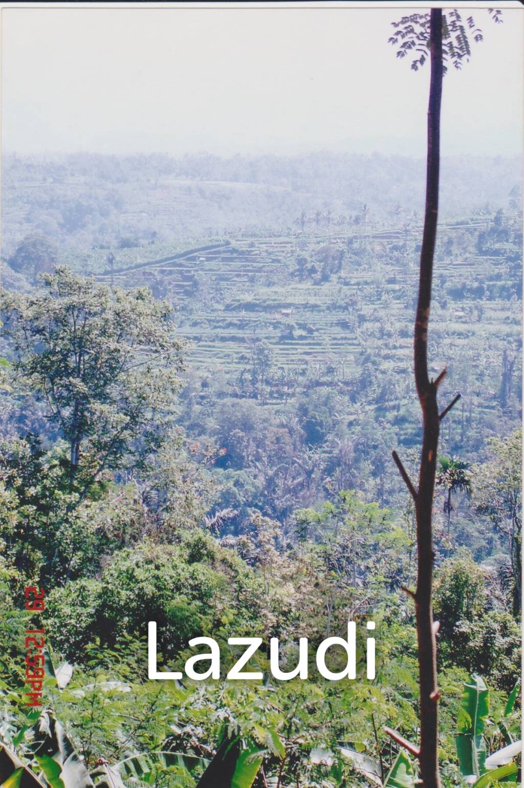 Pakuseba LAZ46660 (Land, Sertifikat Hak Milik)