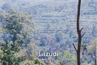 Pakuseba LAZ46660 (Land, Sertifikat Hak Milik)