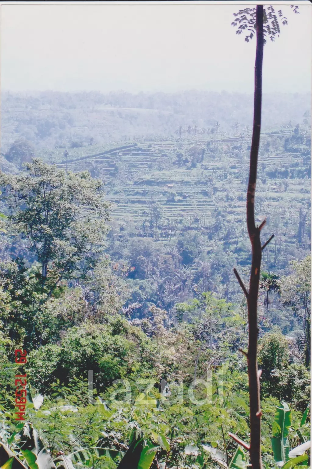 Pakuseba LAZ46660 (Land, Sertifikat Hak Milik)