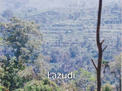 Pakuseba LAZ46660 (Land, Sertifikat Hak Milik)