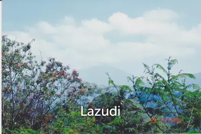 Pakuseba LAZ46660 (Land, Sertifikat Hak Milik)