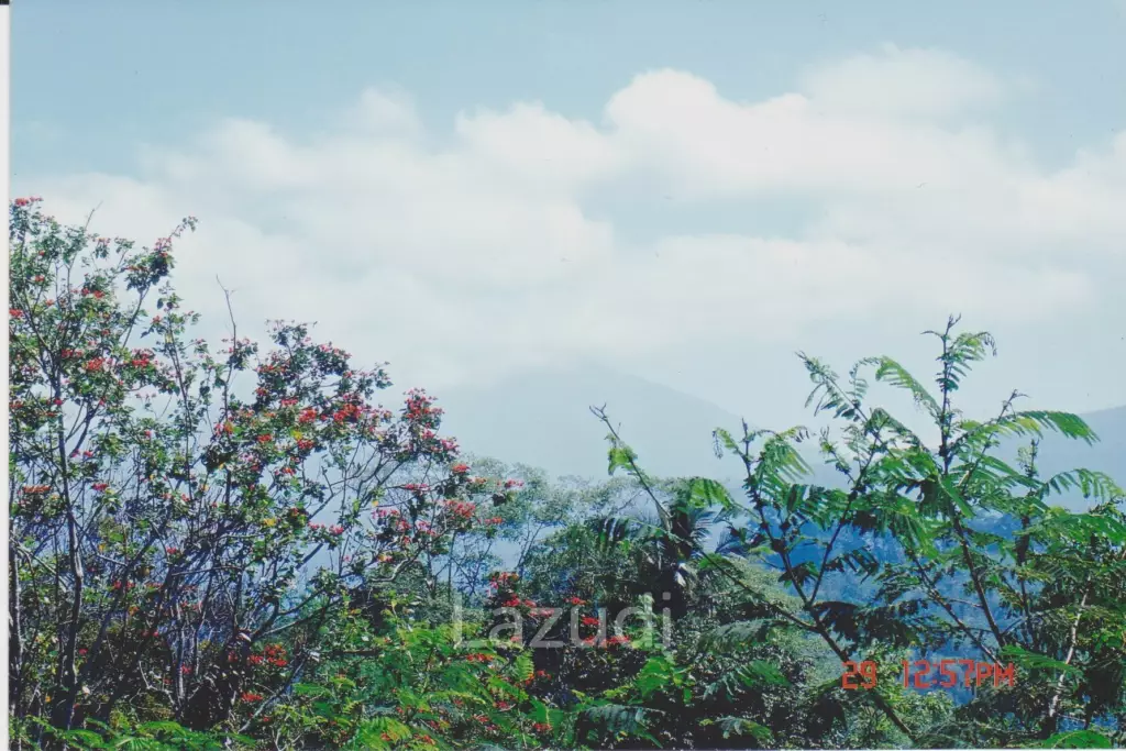 Pakuseba LAZ46660 (Land, Sertifikat Hak Milik)
