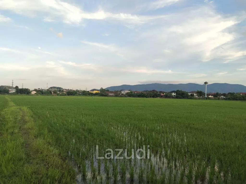ขายที่ดิน อยู่ใกล้เซ็นทรัลเชียงราย ใกล้โฮมโปร และสนามบินเชียงราย 31ไร่ 3 งาน 17 ตารางวา( 50,868 ตารางเมตร )