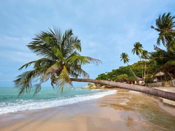 Thongson Bay Three Bedroom House - Walking Distance of the Beach