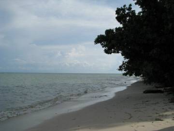 Plot of beach-side land – for sale (Hua Thanon)