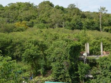 Land by the beach (Choeng Mon)