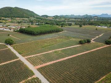 Beautiful Land With Fantastic Mountain View - Khao Tao Area