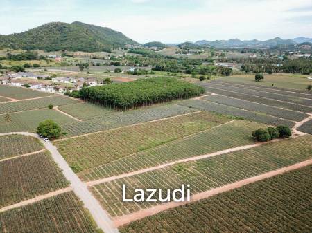 960 Sqm. Land - 5 Minutes From Khao Tao Beach
