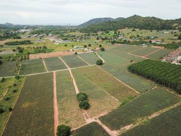 960 Sqm. Land - 5 Minutes From Khao Tao Beach