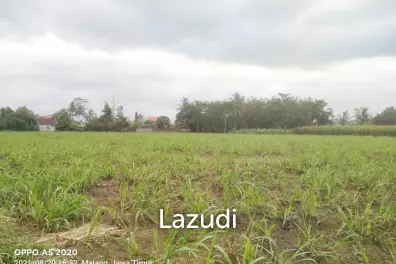 Jual Tanah Luas Strategis di Malang Dekat Kantor Bupati Malang dan Pasar Gondanglegi