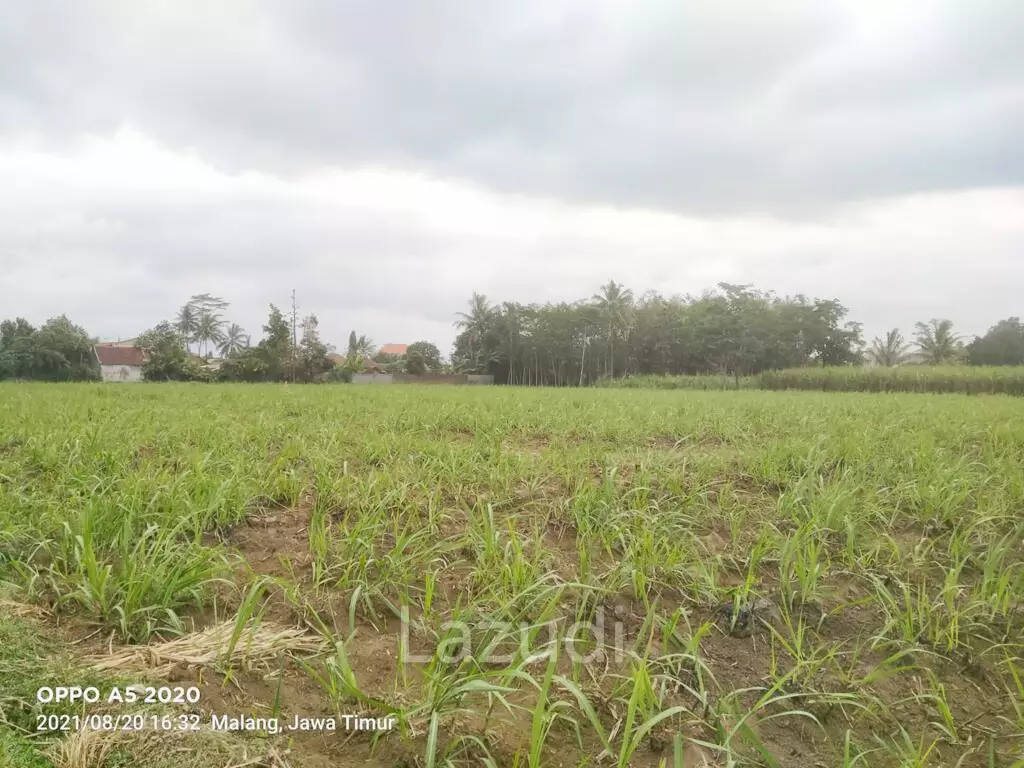 Jual Tanah Luas Strategis di Malang Dekat Kantor Bupati Malang dan Pasar Gondanglegi