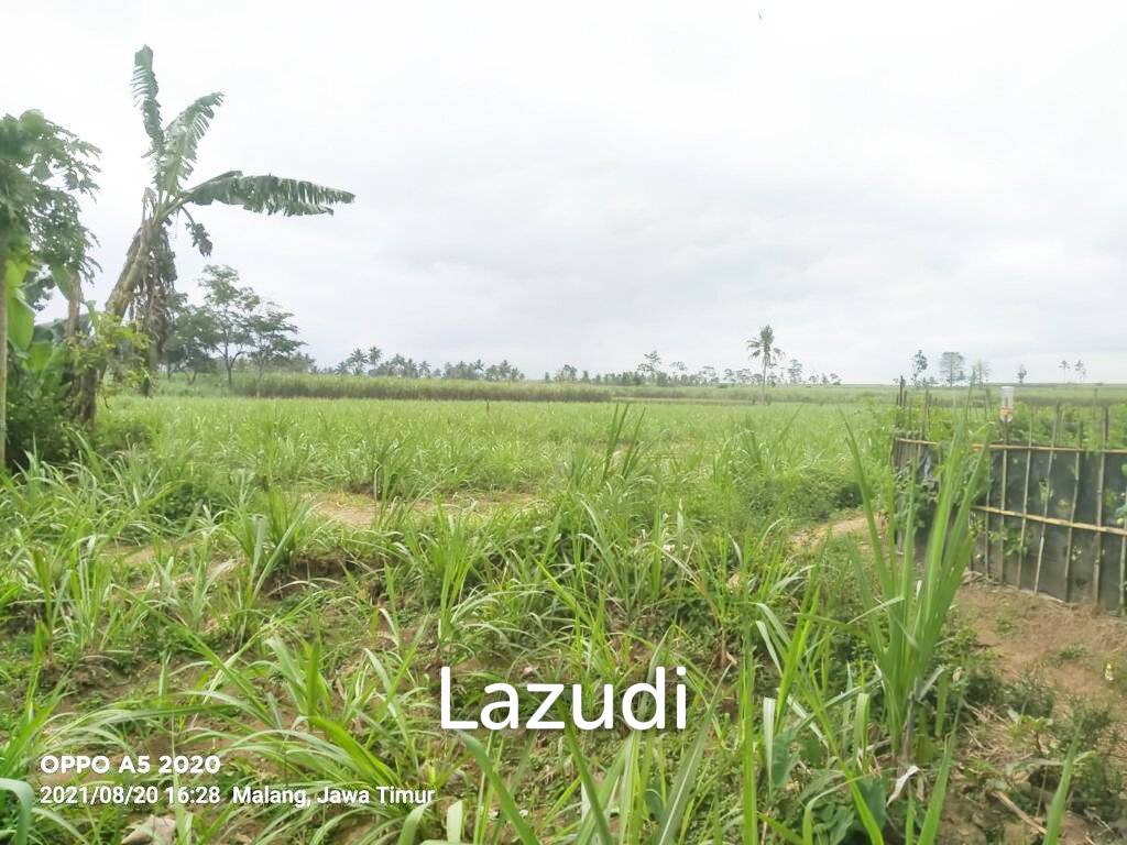 Jual Tanah Luas Strategis di Malang Dekat Kantor Bupati Malang dan Pasar Gondanglegi