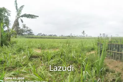 Jual Tanah Luas Strategis di Malang Dekat Kantor Bupati Malang dan Pasar Gondanglegi
