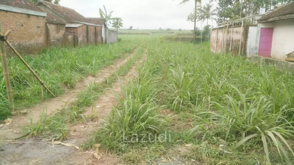Jual Tanah Luas Strategis di Malang Dekat Kantor Bupati Malang dan Pasar Gondanglegi