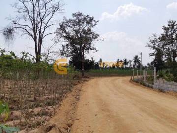 Huay Yai Land 9 Rai 350 sq.wah