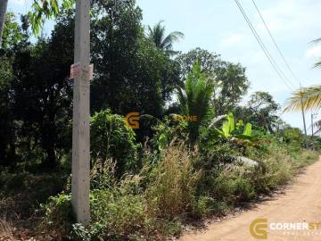 ½ Rai (800sq.m) Huay Yai Land 2009